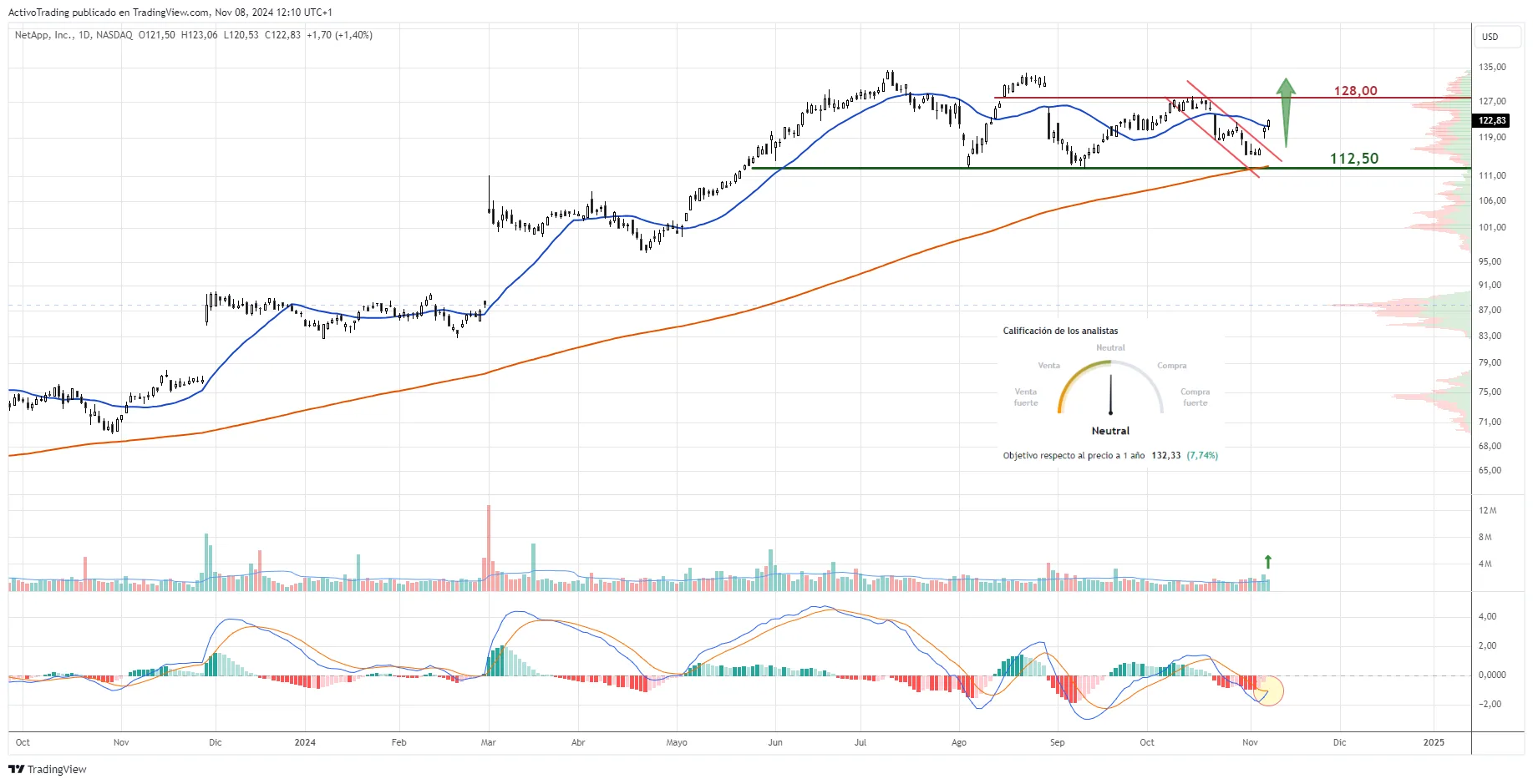 Gráfico diario de NetApp