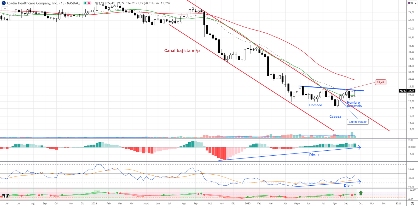 ACHC Gráfico semanal