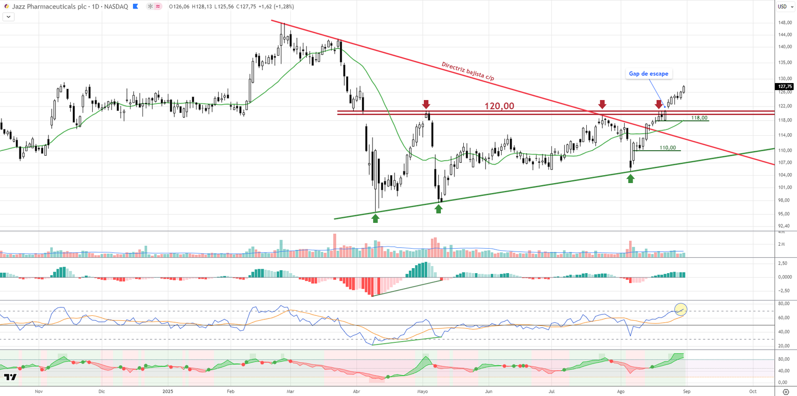 JAZZ Gráficio Diario