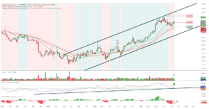 Gráfico semanal de NetScout Systems